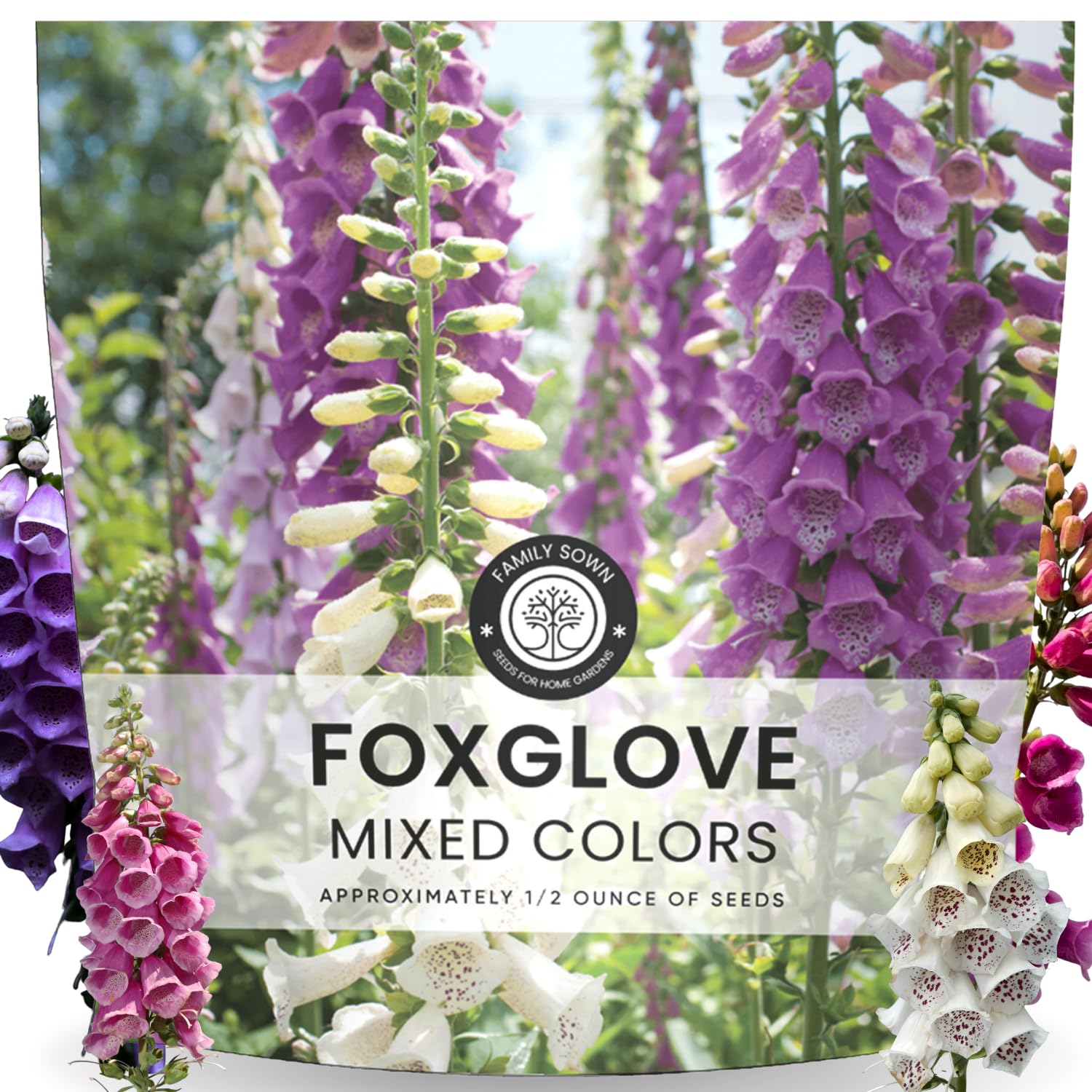 FAMILY SOWN Foxglove Mixed Colors Seeds