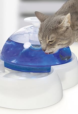 fresh & clear cat it