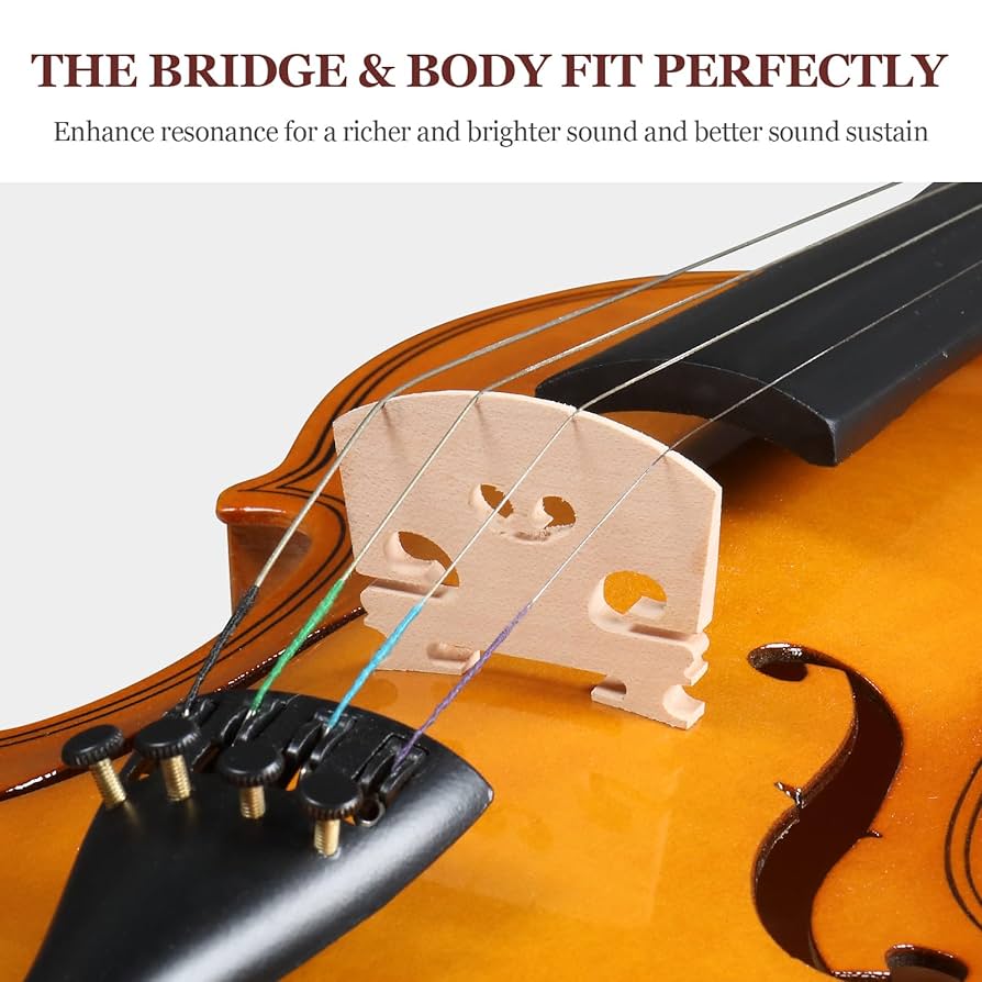 バイオリン　warranty 4／4 Amazon.com: Ktaxon Full Size Violin, 4/4 Acoustic Violin