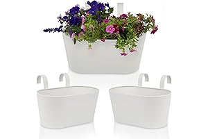 Stunning Rail Planters for Outdoor Decks & Fences