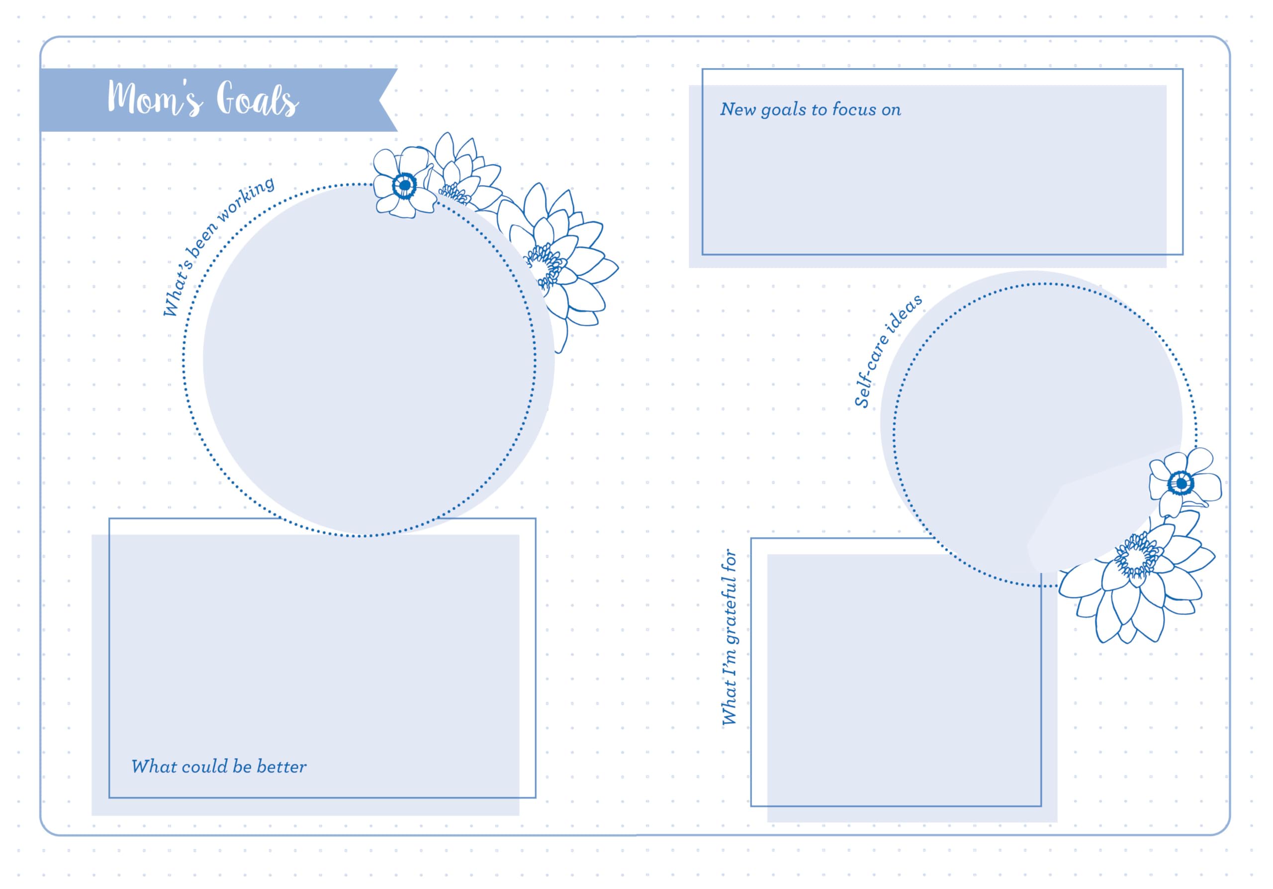 2026 Amy Knapp's Family Organizer: 17-Month Weekly Planner for Mom (Includes Stickers, Thru December 2026) (Amy Knapp's Plan Your Life s): Calendar