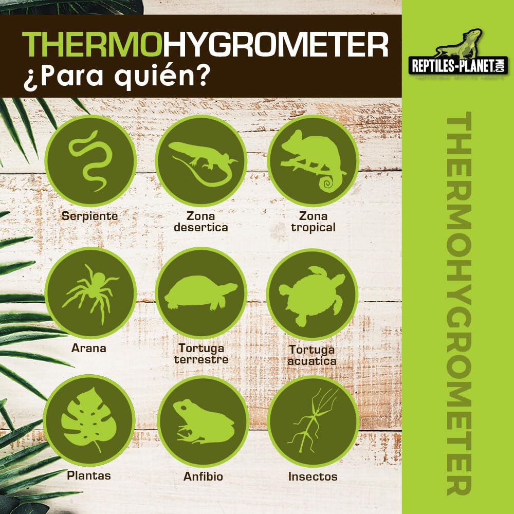 Reptiles Planet – Pequeño Thermohygrometer – Termómetro e higrómetro digital para Terrario