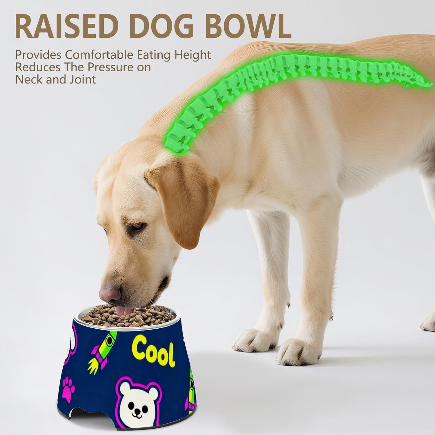 Cute Dog and Bear Cool Blue Dogs Feeding Bowls Non Skid Stainless Steel Cat Food Dishes for Small Pet Comfort Feeding
