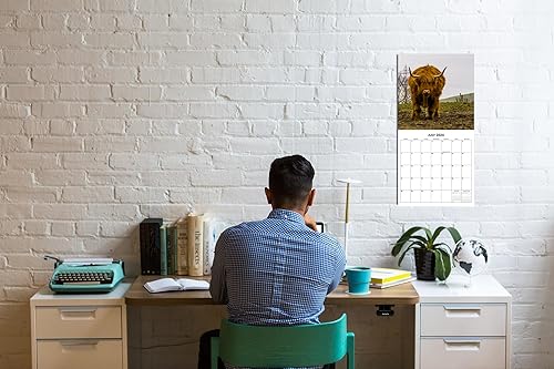 Miniatura 9 de Calendario mensual de pared 2024 de animales salvajes Whizzing, animales salvajes, regalo de broma hilarante, regalo de elefante blanco, regalo de