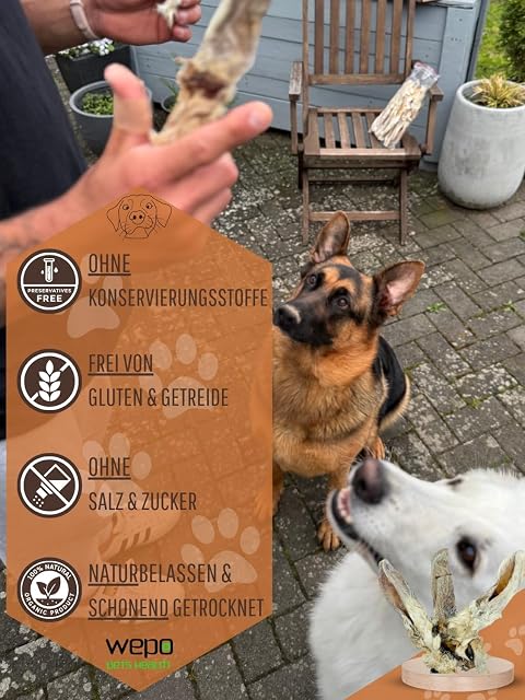 Foto 3 de 8 de WEPO Orejas de conejo con pelo para perros, orejas de conejo secas de 1 kg