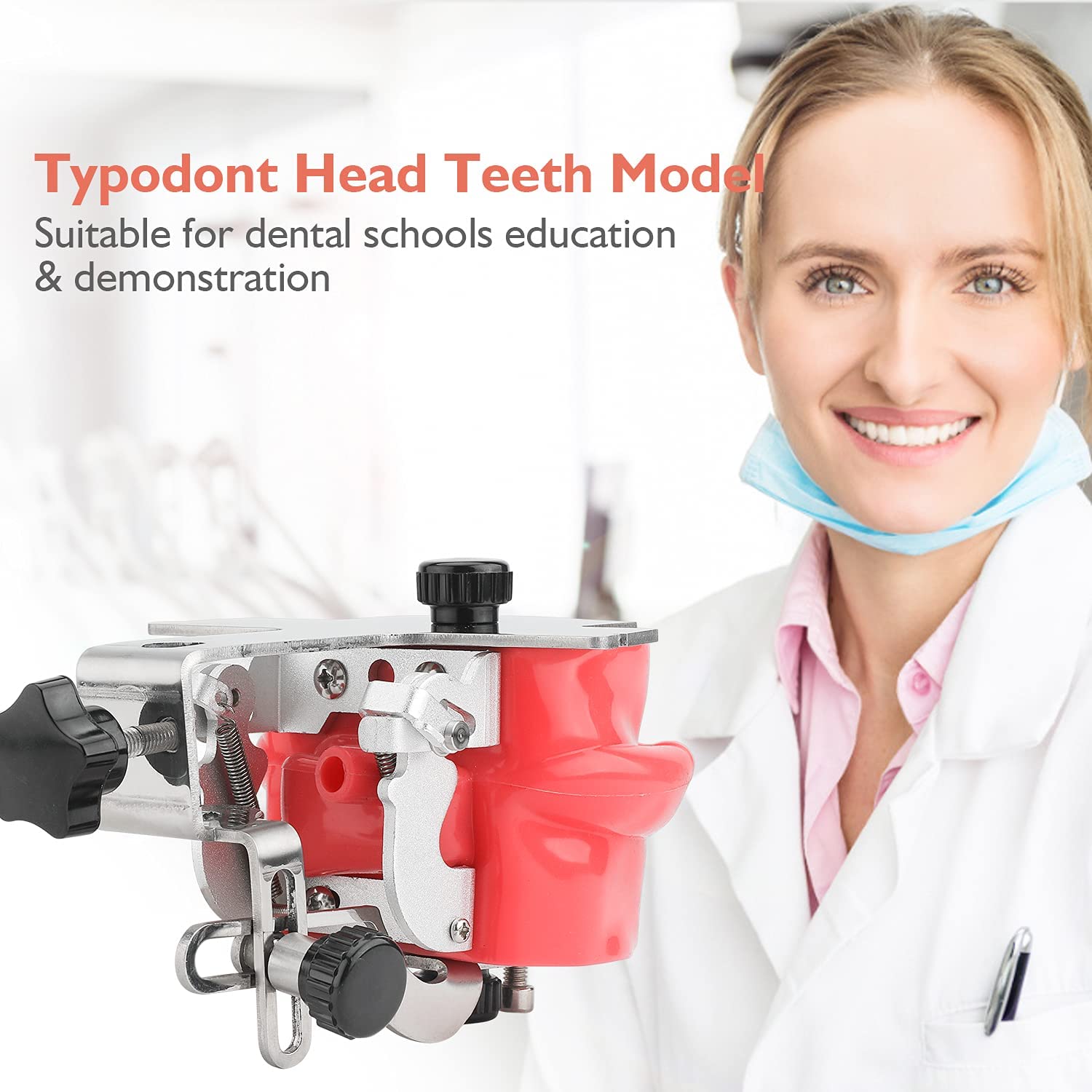 Modelo De Dientes Phantom Head Training Manikin 28/32Pcs Simulador Dental De Dientes Cabeza De Maniquí con Montaje En Banco Fijo En Escritorio para Escuelas De Odontología Educación