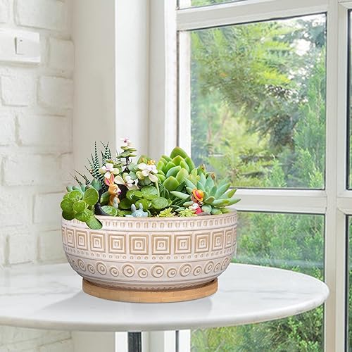 Miniatura 3 de G EPGardening Macetas de cerámica para suculentas de 8 pulgadas, maceta redonda de bonsái poco profunda para plantas de interior con drenaje y