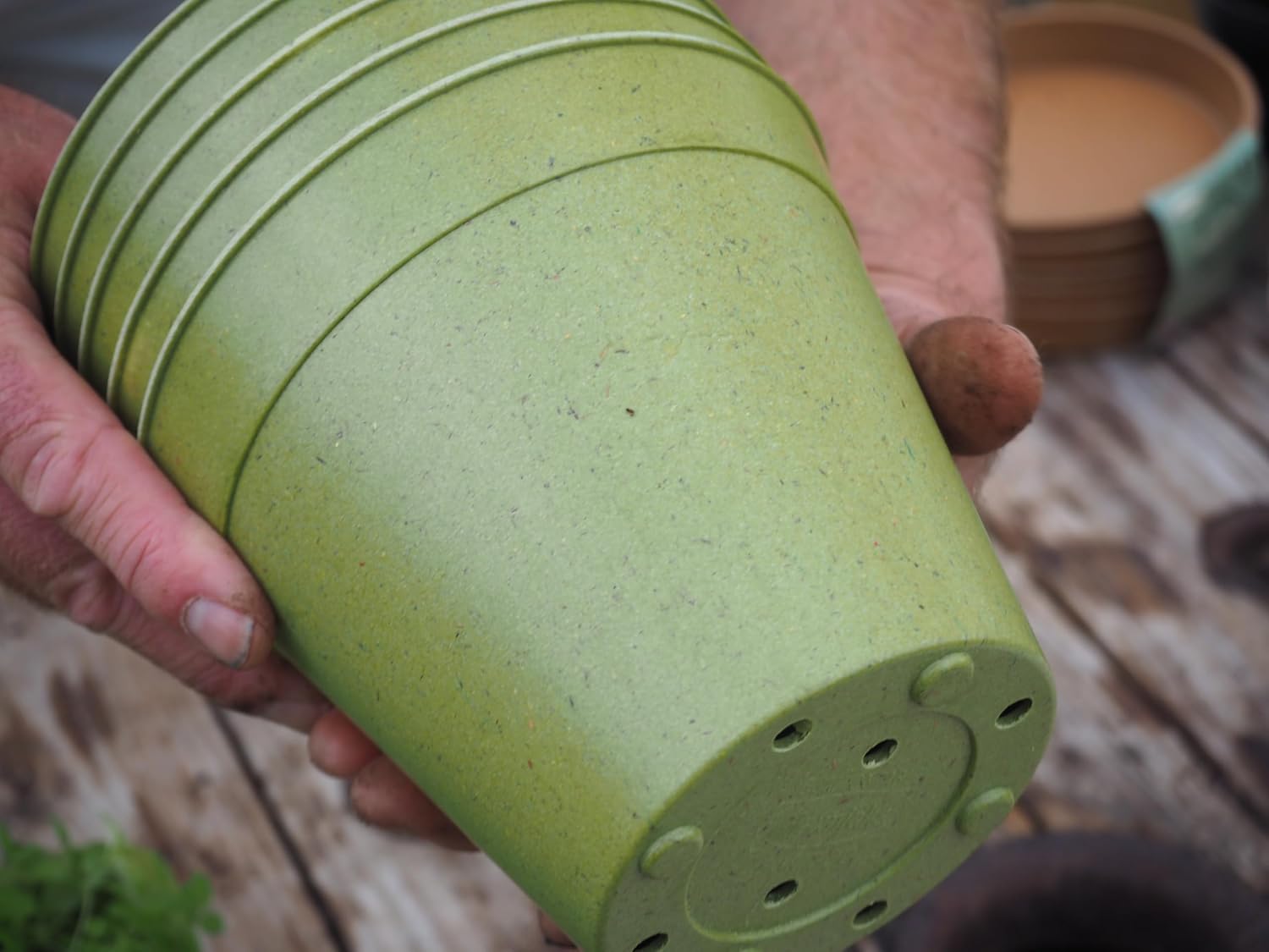 Tierra Garden - HAXNICKS 6" Green Bamboo Pot (5-Pack)