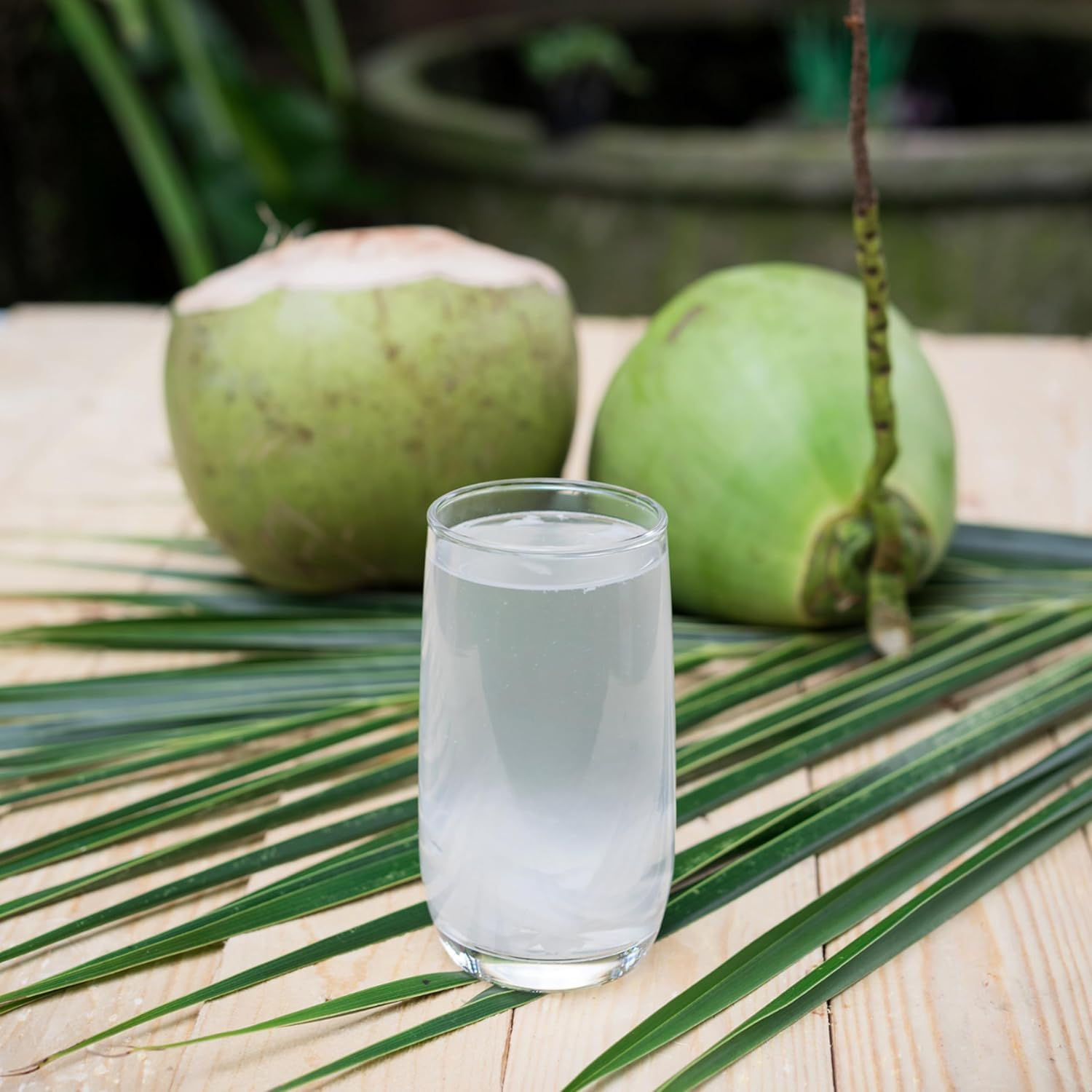 BAMBOO TREE Kokoswasser 12x1L – 100% Natürlich – Reich an Ballaststoffen – Ohne Zuckerzusatz – Glutenfrei – Premium Qualität aus Vietnam