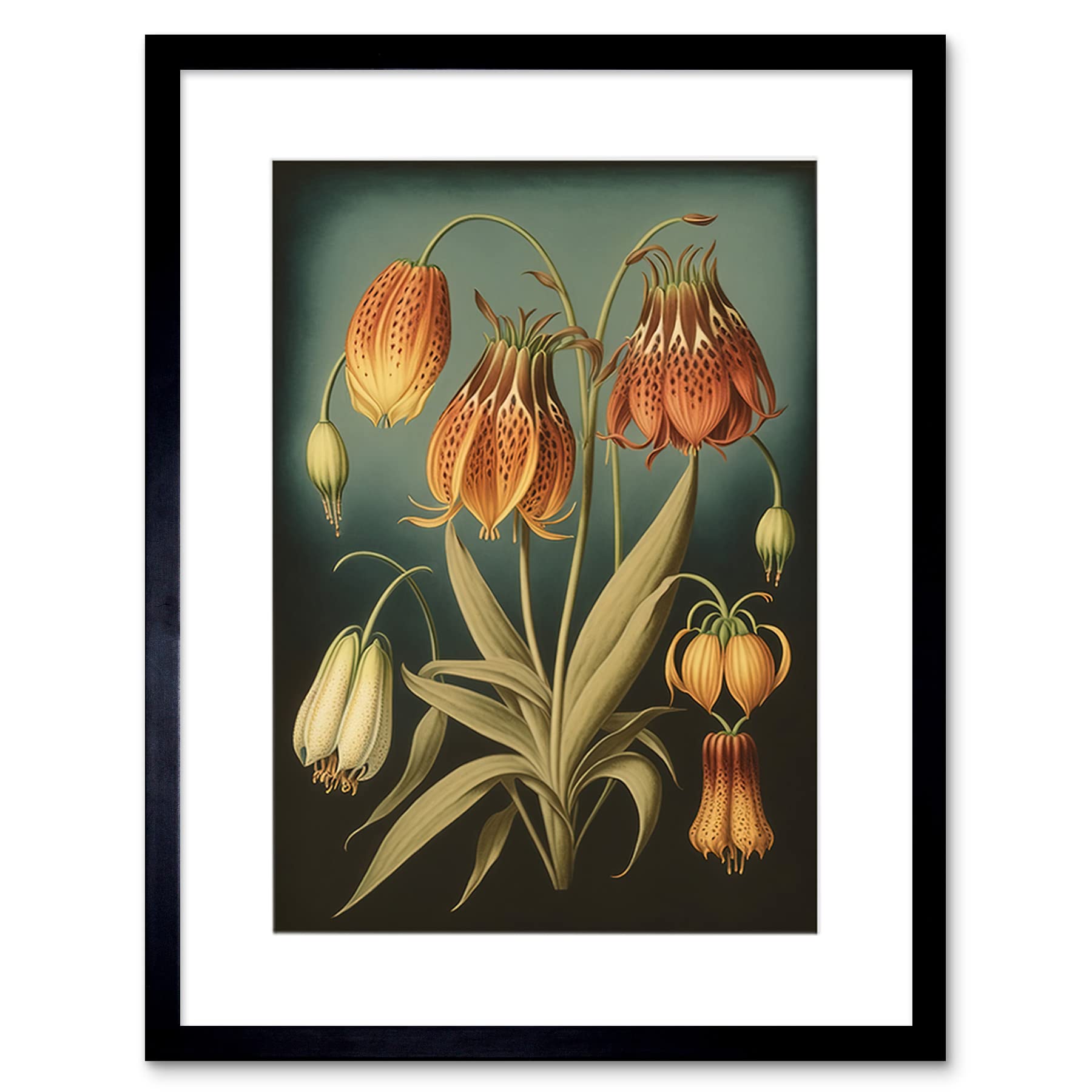 Artery8 Fritillaria Flower Plant Ernst Haeckel Inspired Plant Study Modern Watercolour Painting Illustration Artwork Framed Wall Art Print 9X7 Inch
