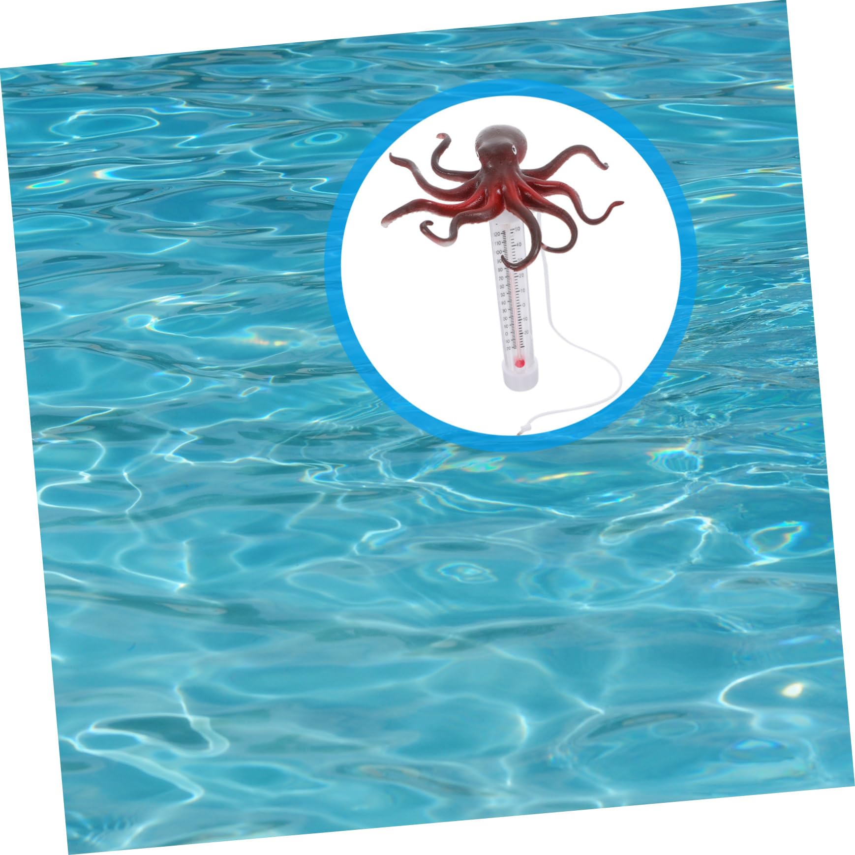 Toyvian Termometro Galleggiante per Forma Misuratore Temperatura per Spa Vasche e Acquari Facile e Utilizzo Design Adatto AI Accuratezza Garantita