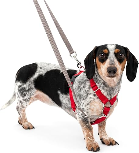 PetSafe Sure-Fit Dog Harness - Training Aid - Tactical Design Prevents Pressure on Throat - 2 Quick-Snap Buckles Simplify Slipping On & Off - 5 Adjustment Points Maximize Comfort & Fit - Red - S
