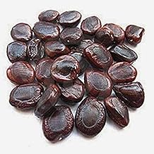 RUKDA® Fresh Organic Tamarind Seeds | Imli Beej | 100% Natural, Non-GMO, and Chemical-Free Imli Seeds - Ideal for Culinary, Medicinal, and Gardening Uses - 1 kg Pack