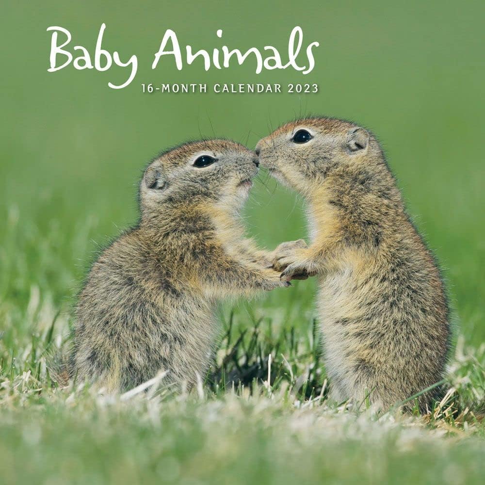 Carousel Calendars, Baby Animals 2023 Wall Calendar