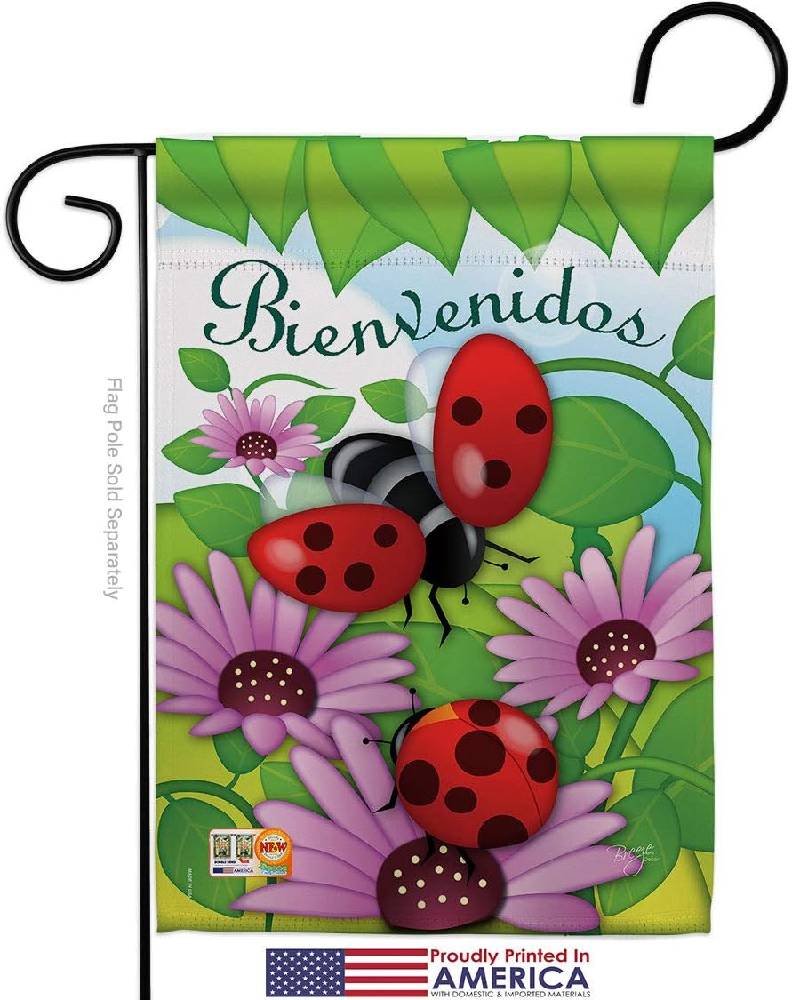 Bienvenidos Tortolitas Garden Flag Set Mailbox Hanger Friends Butterfly Ladybugs Dragonfly Bee Springtime Insect Natural Wildlife Small Gift Yard House Banner Made In USA 13 X 18.5