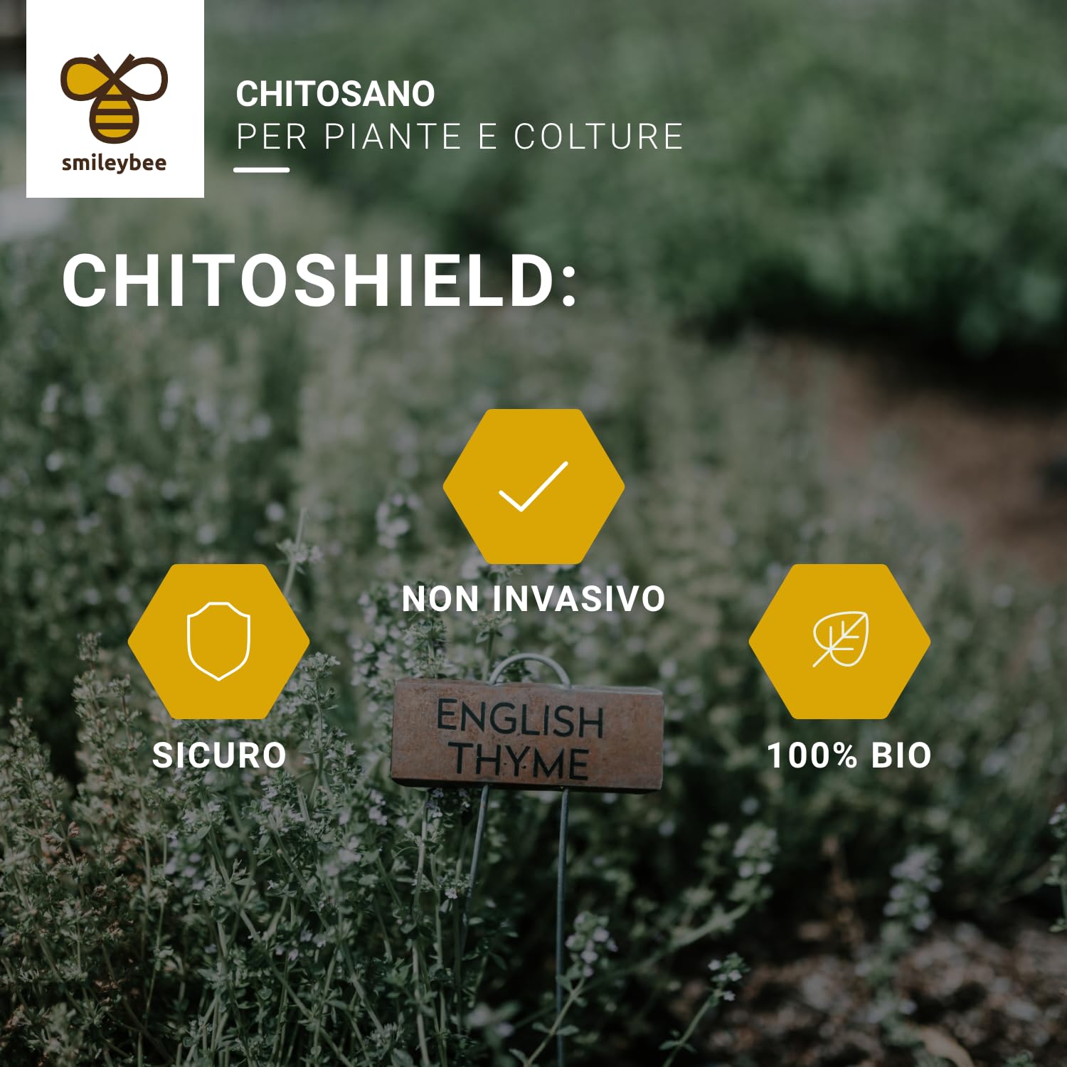 Chito Shield Attivatore Biostimonlante delle Difese Endogene della Pianta - 1 Litro'