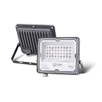 Orient Electric Razor Plus 30 W LED Flood Light | IP65 Waterproof Outdoor Light with Lens Design | 5kV Surge Protection, 440V Compatible | Wide Angle Beam, Ultra Slim Design | Warm White – Pack of 1