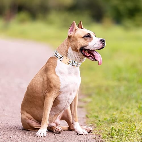 Miniatura 5 de Collar de perro con hebilla de metal con bonito estampado, collares ajustables con patrón floral para mascotas para perros pequeños, medianos y