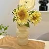 JSPYFITS Glass Hydroponic Flower Vase, 7 Inches Colored Glass Bubble Vase for Flower, Three-Layer Glassvase Funky Vase for Home/Office/Weddings/Party Table Flower Decor (Dark Green)