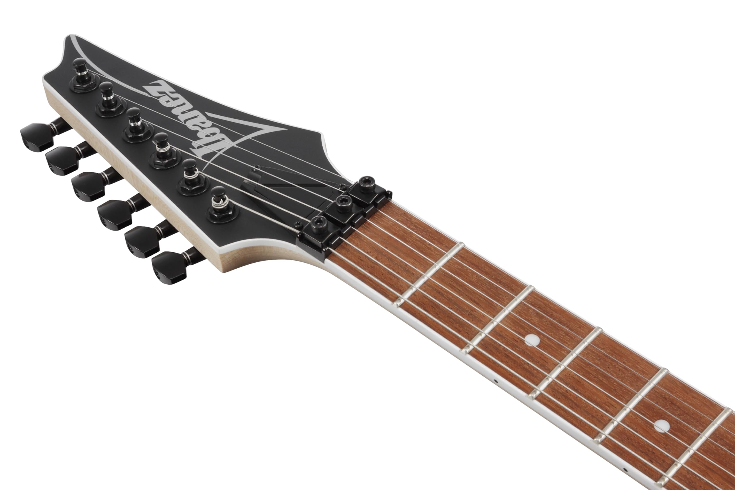 Ibanez RG420EX-BKF: プロ仕様エレキギター