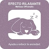 Ver la foto 3