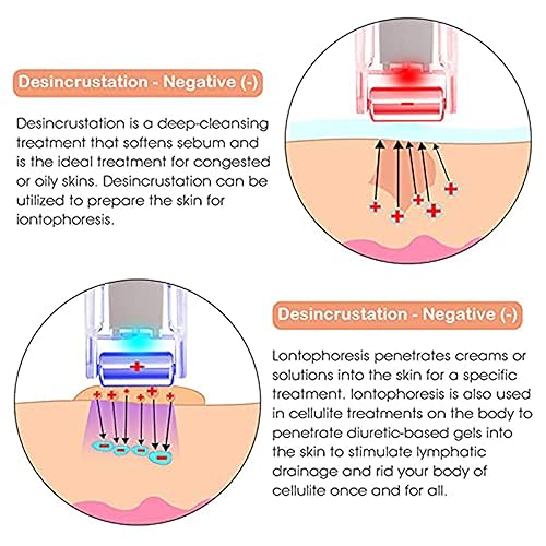 Miniatura 4 de Elitzia Máquina facial galvánica portátil, dispositivo ET901 de la belleza del uso en el hogar del plomo de la nutrición y de la impureza