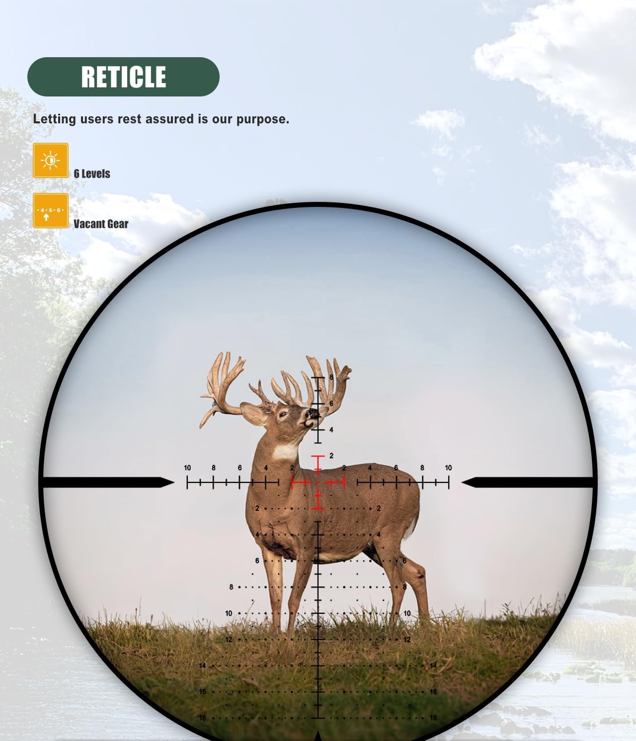 SPINA OPTICS 6-24x50E FFP II Rifle Scopes First Focal Plane (FFP) Riflescope with Red MRAD Precision Tree Reticle and Sunshade