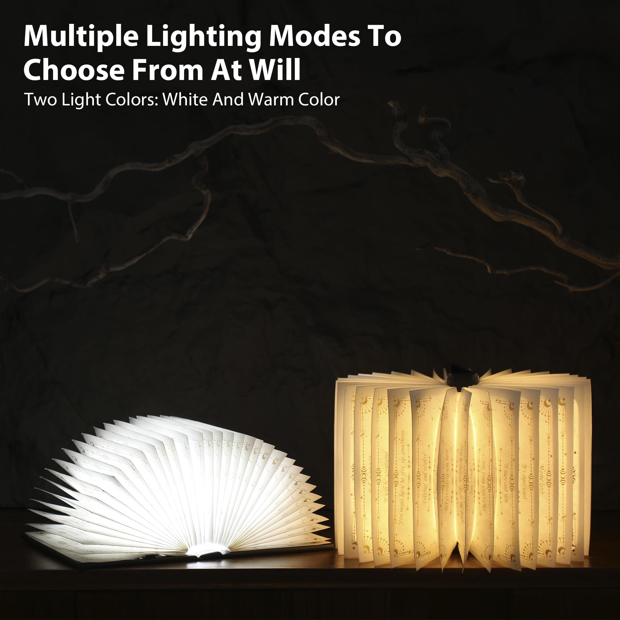 Magische Wahrheit Buchlicht – Wiederaufladbare LED-Buchlampe für Heimdekoration, ideales Weihnachts- und Bücherwurmgeschenk mit Goldfolienprägung, warmweißes Licht für Unterhaltung und (Black)