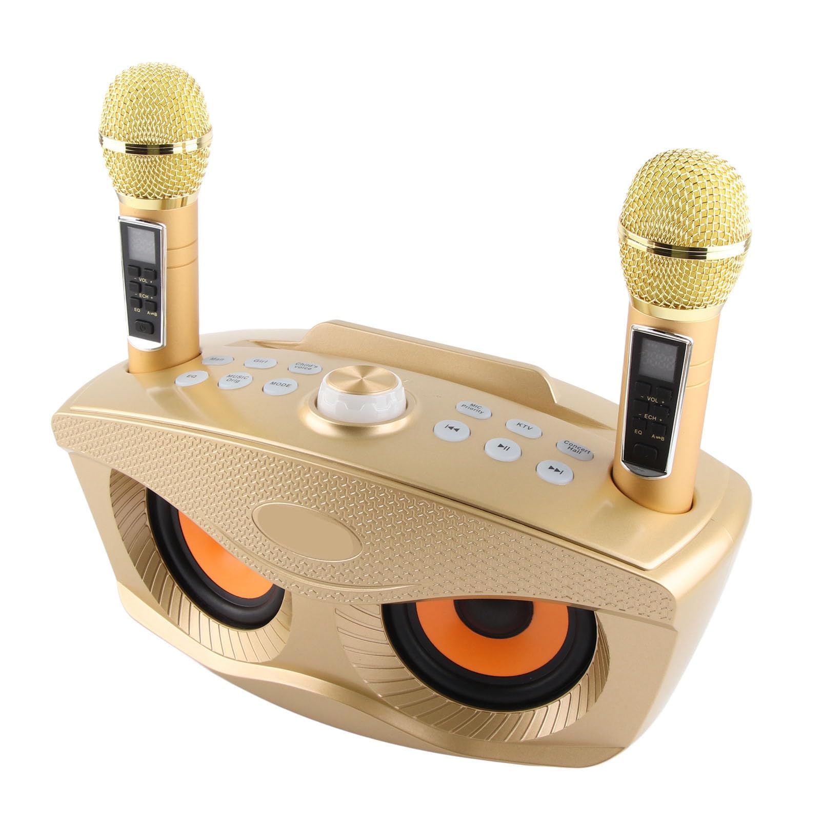 Semme Altoparlante per Karaoke Familiare con Doppio Microfono Portatile, Stereo Portatile da Esterno con Funzione di Annullamento Vocale (GOLD)