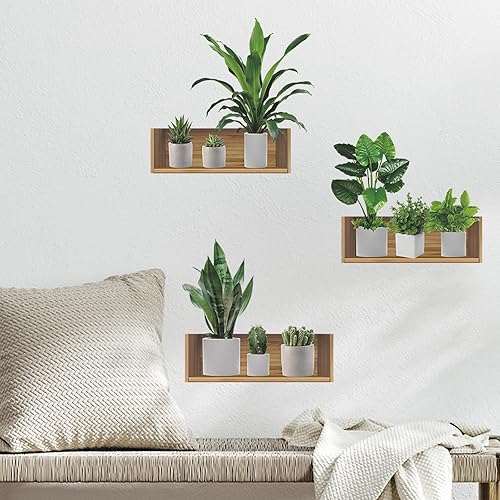 Miniatura 5 de Calcomanías de pared con diseño de plantas verdes, hojas verdes, cactus suculentas, calcomanías de pared extraíbles de vinilo para despegar y pegar