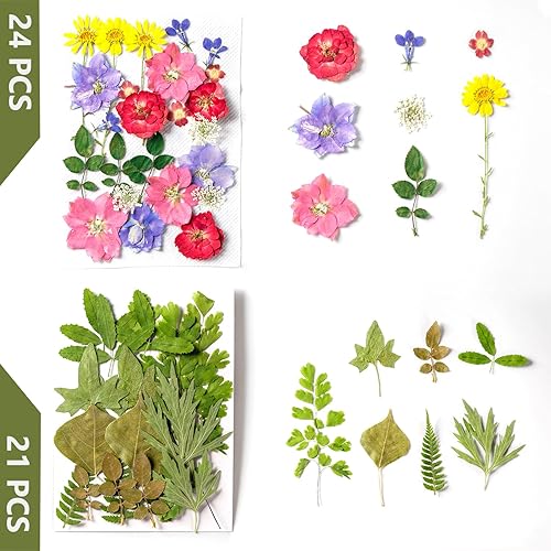 Miniatura 4 de GUTLIVTAG Hojas secas prensadas, hojas prensadas naturales a granel emparejadas con flores prensadas para manualidades, rellenos de resina, álbumes
