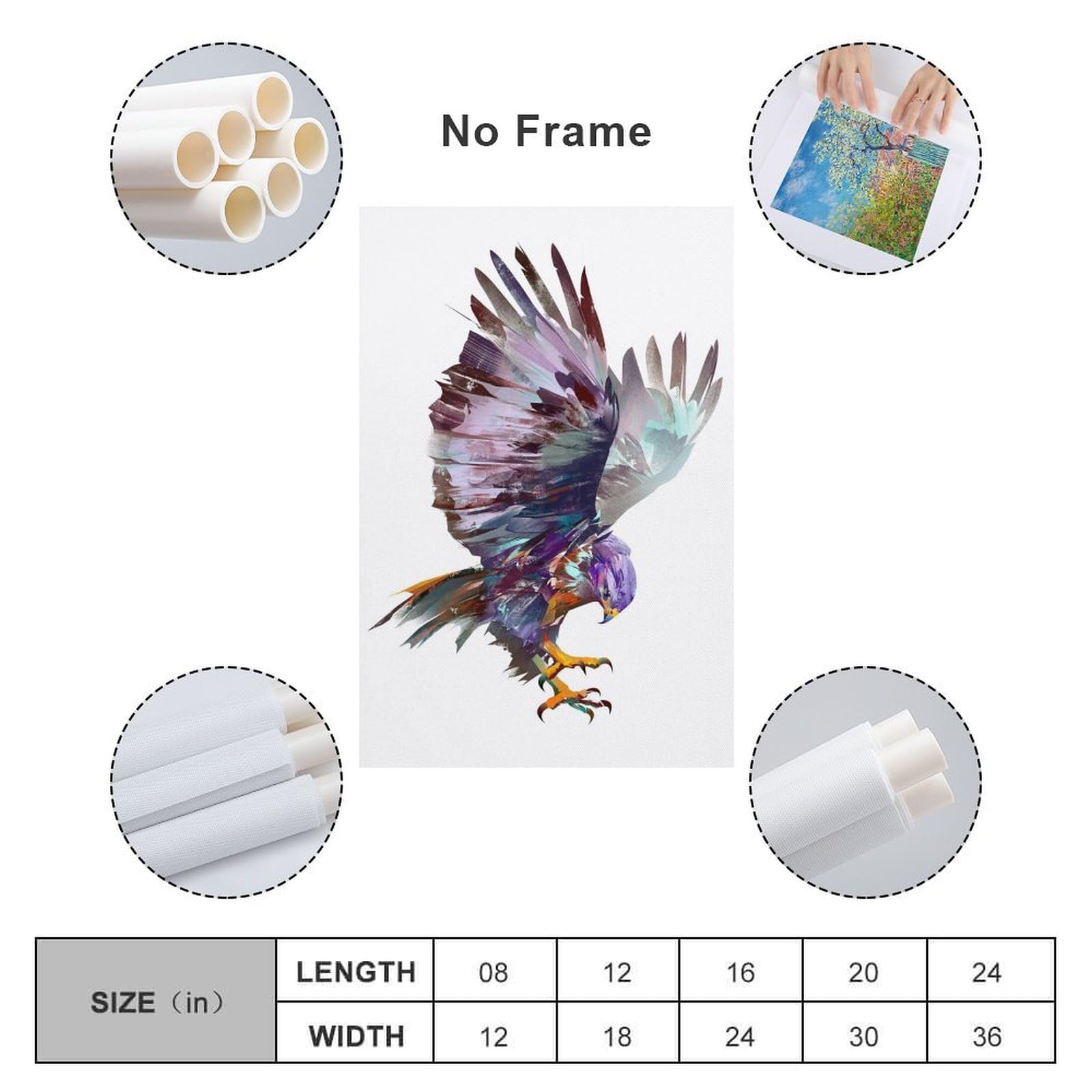 Amazon.co.jp: 動物の空飛ぶ鳥の鷹のポスターとプリントhd ウォール