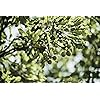 Product Photo 8