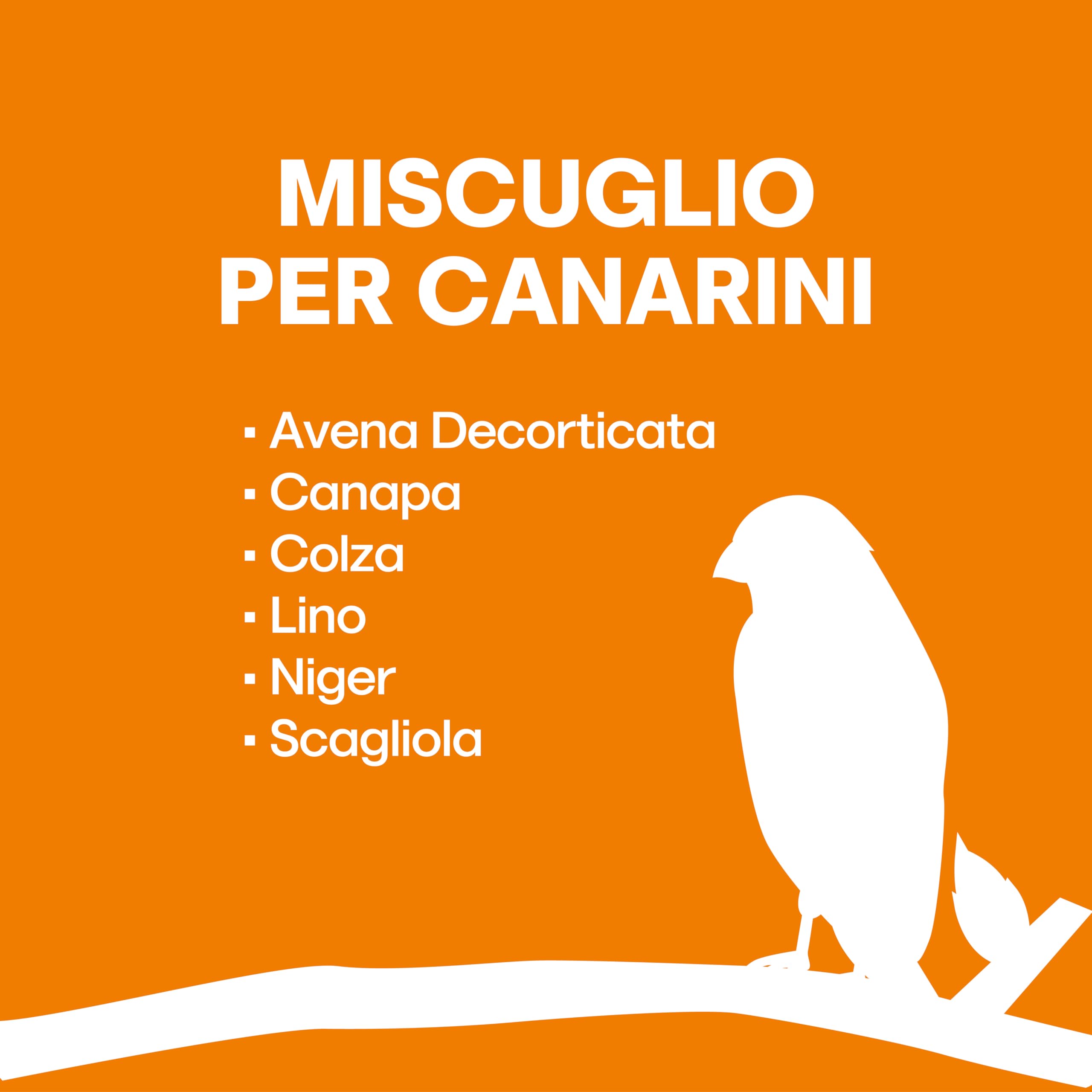 Il Contadino - Antichi Becchimi | MISCUGLIO per CANARINI | Formula Ricca di Semi Selezionati Adatta per Tutto L'Anno, No OGM, 100% Vegetale, Assenza di scarti. qualità Superiore (1 kg)