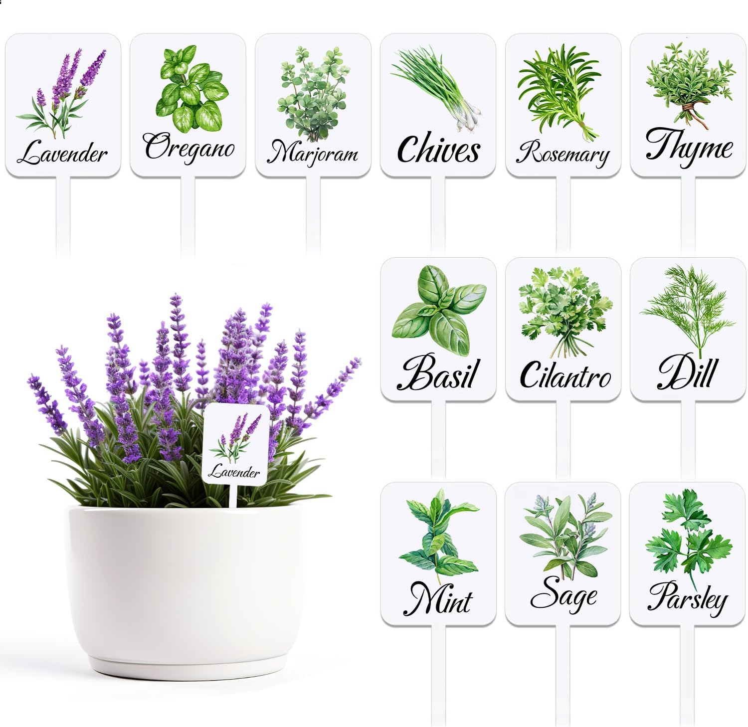 12Pcs Herb Garden Signs - 12 Styles Plant Labels with Names for Vegetables, Indoor/Outdoor Garden Decoration