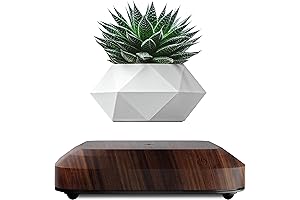 Levitation Floating Plant Pot: Elevate Your Greenery