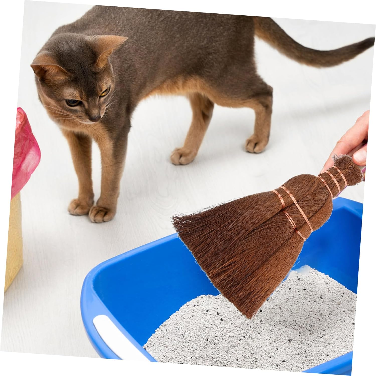 GALPADA 3sets Brush Pet Feces Cleaning Tool Ergonomic Desktop Broom Dustpan for Litter and Cleanup Compact and Space-Saving Cleaning Supplies