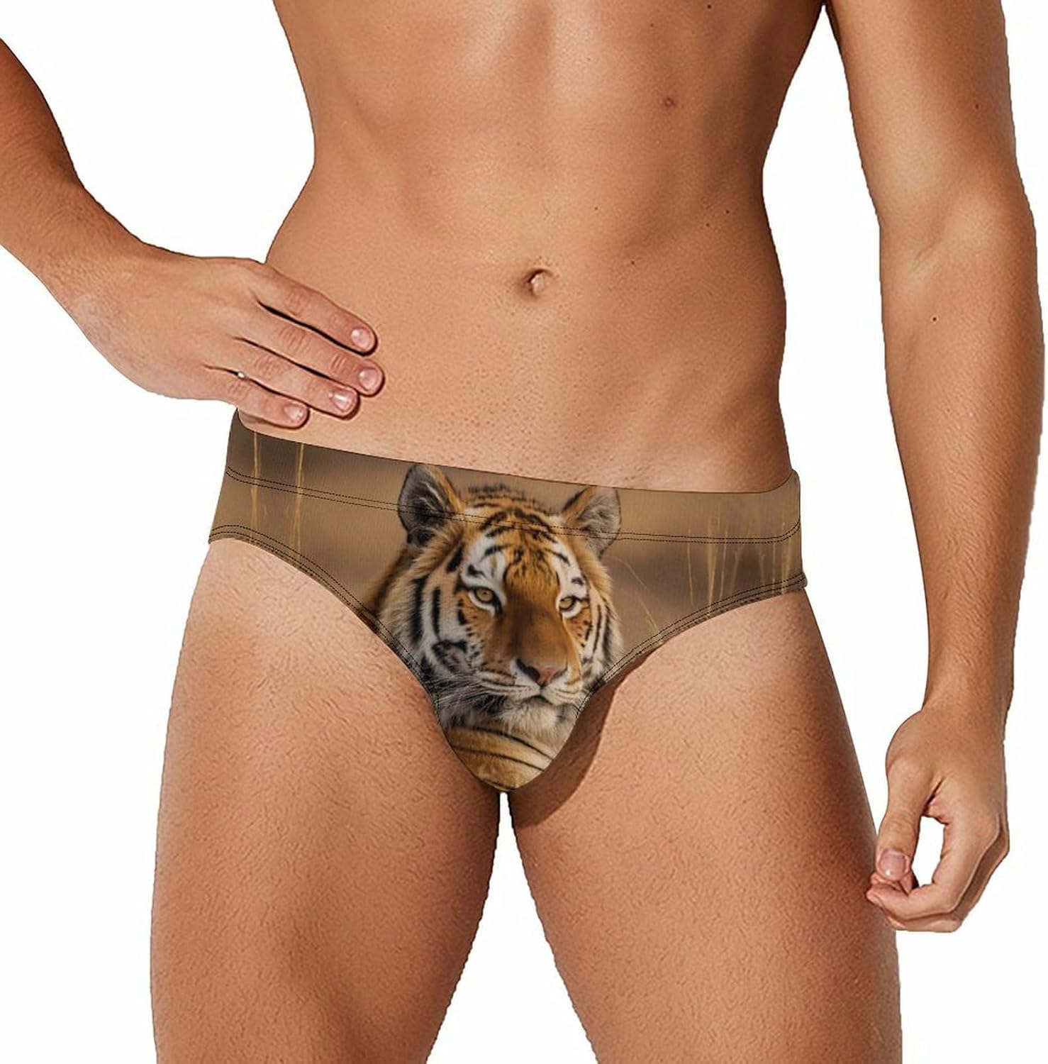Tiger Men's Swimsuit Brief Sexy Bikini Briefs Retro Printed Swimwear Quick Dry Swimming Trunks 3X-Large