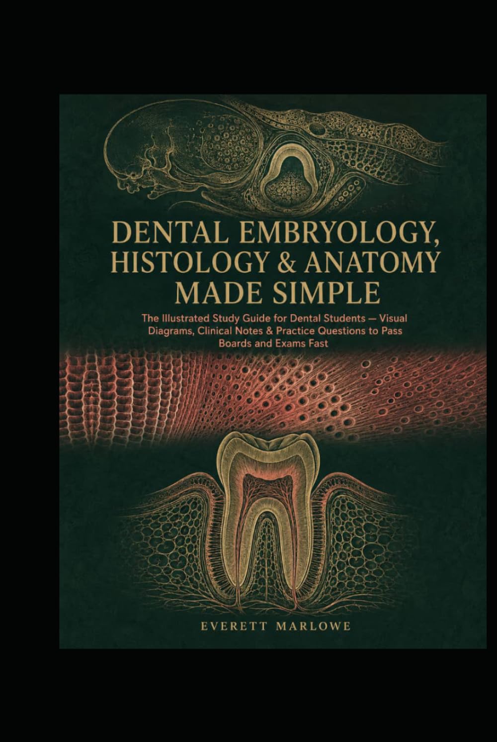 DENTAL EMBRYOLOGY, HISTOLOGY & ANATOMY MADE SIMPLE: The Illustrated Study Guide for Dental Students — Visual Diagrams, Clinical Notes & Practice Questions to Pass Boards and Exams Fast