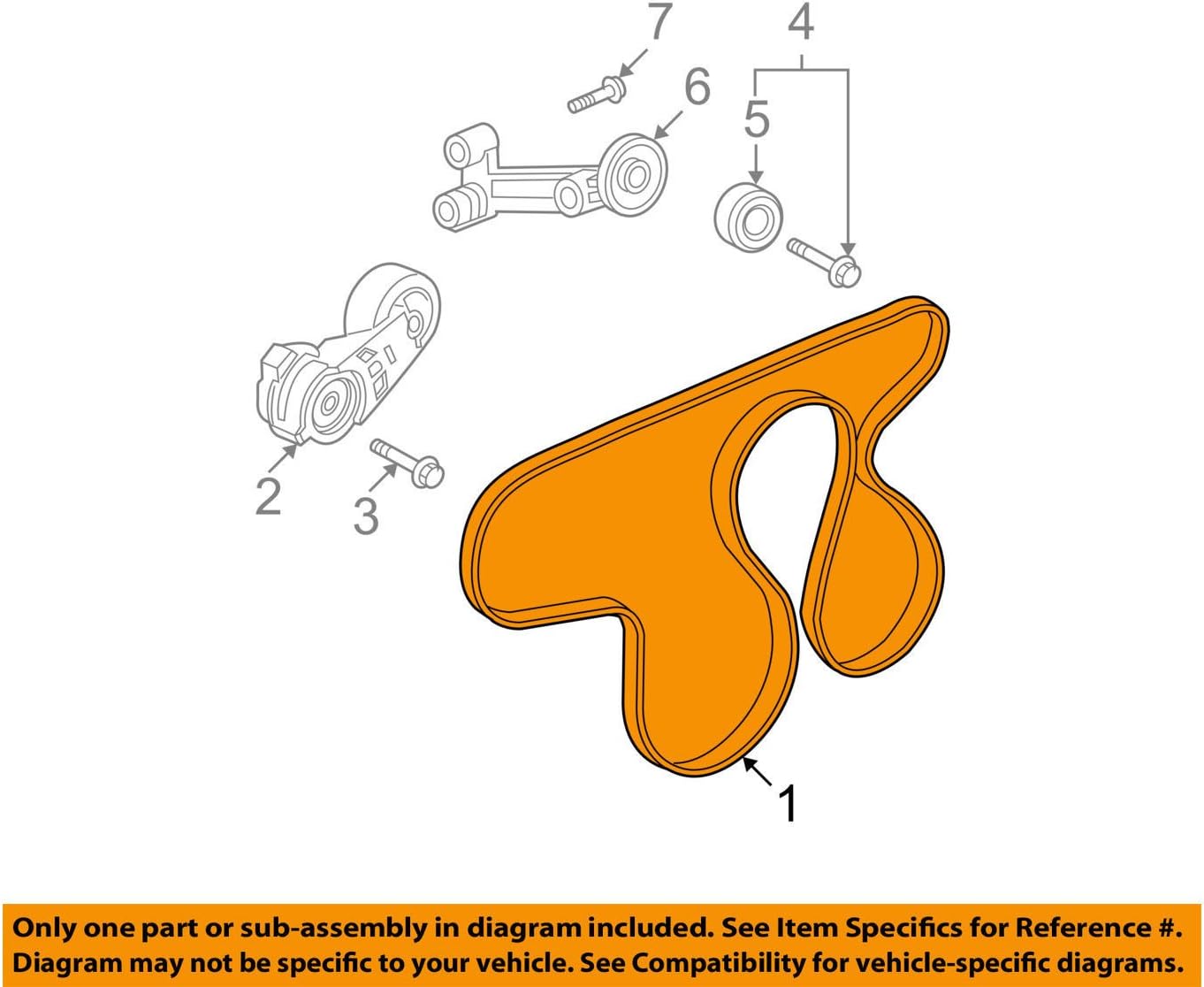 General Motors 12611636, Serpentine Belt
