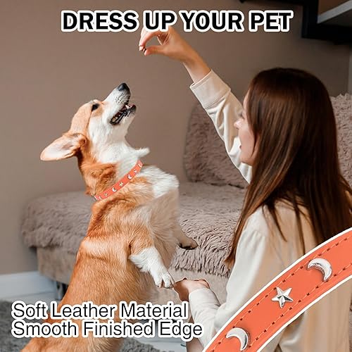 Miniatura 4 de Collar de cuero para perros pequeños y medianos, collar ajustable con remache de estrella y luna con hebilla de metal resistente al óxido, collares