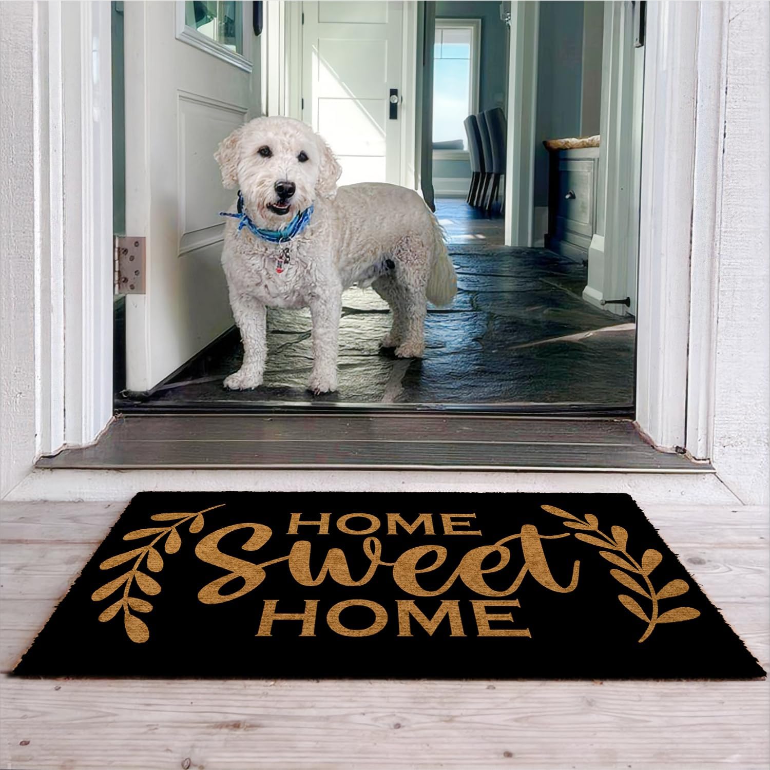 Home Sweet Home Rug Mat Entrance Door Front Door Mat Outside Entrance Non Slip Rug 23.5x15.7 Inch