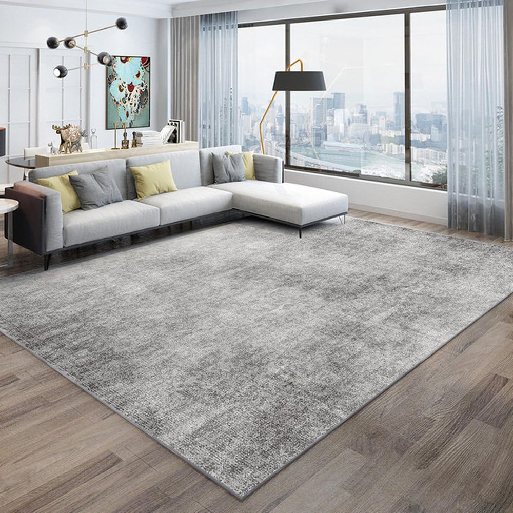 Tapis moderne de couleur unie haute qualite pour decoration de salon b