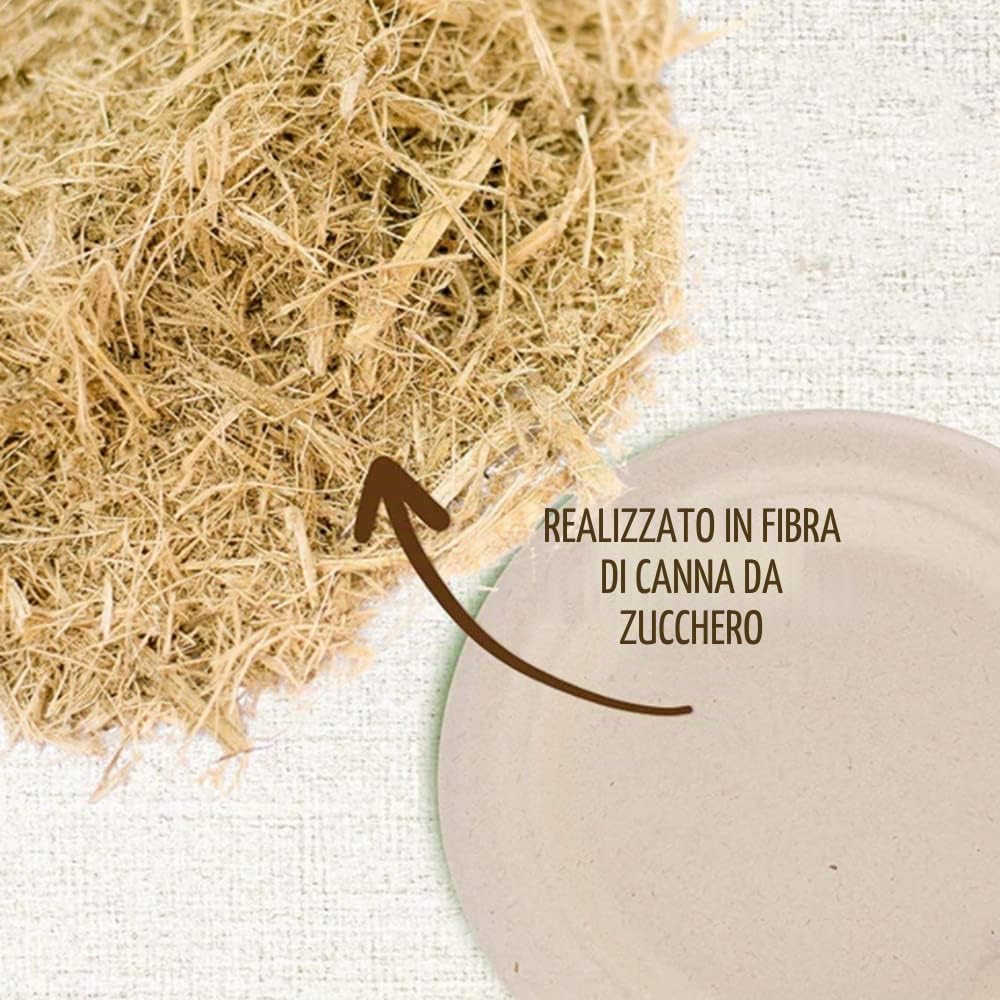100 piatti di carta super rigidi, 100% biodegradabili e compostabili, ecologici, resistenti, riciclabili, perfetti per picnic e barbecue (15,24 cm)