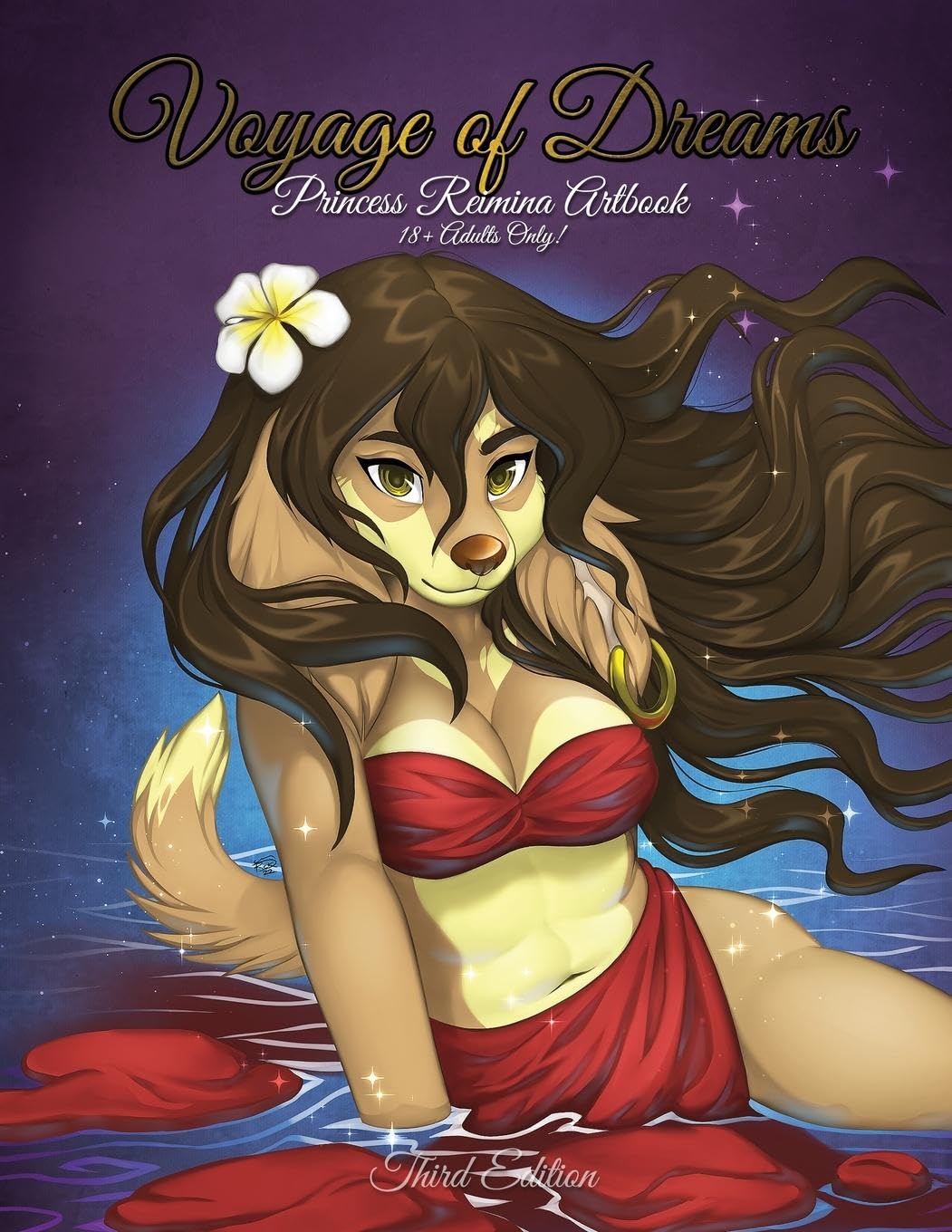 Voyage of Dreams Third Edition - Livre d'art et carnet de voyage illustré haute qualité