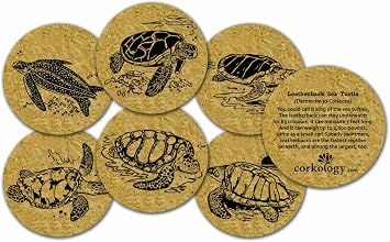 Corkology Endangered Sea Turtles Cork Coaster Set