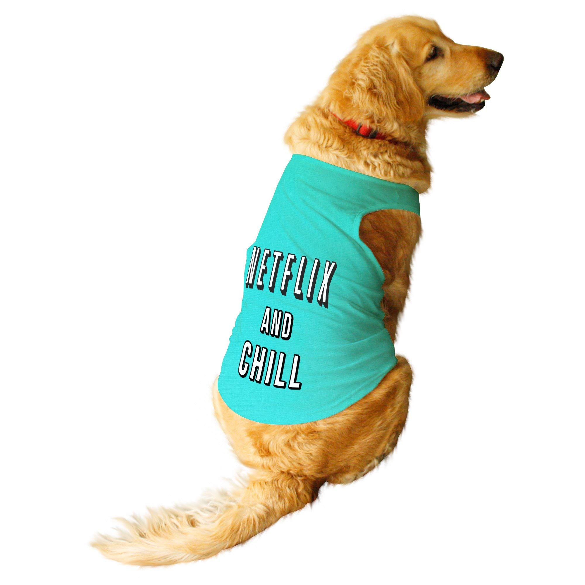 Ruse. Netflix and Chill Round Neck Sleeveless Dog Vest Tank Apso, Shih Tzu etc. (Aqua Green, Small) (B07R49YYYD) Amazon Price History, Amazon Price Tracker