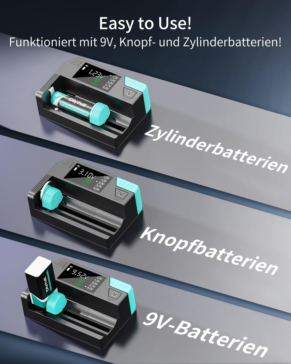 Dlyfull Tester professionale per batterie con display LCD per AA AAA C D 9V batterie a bottone 1,2V 1,5V 3V 3,7V