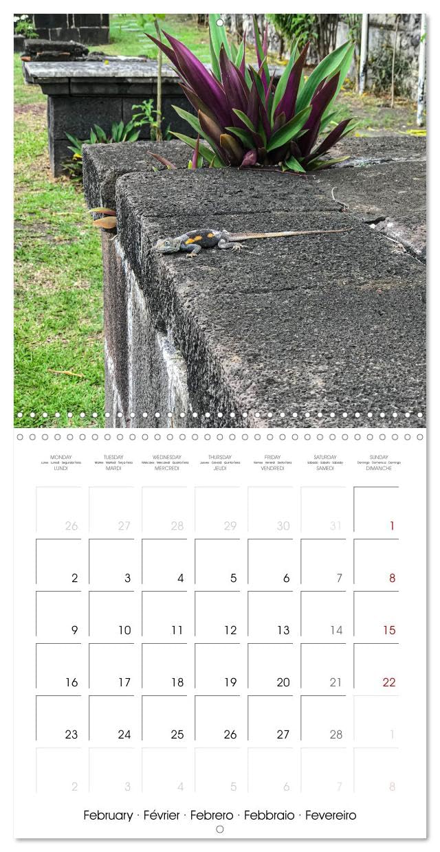 L'ile de la Réunion, un volcan au milieu de l'océan Indien (Calendrier mural carré 2026 30x30 cm) Calendrier double avec une page pour vos prises de notes: Les merveilles de l'île de la Réunion