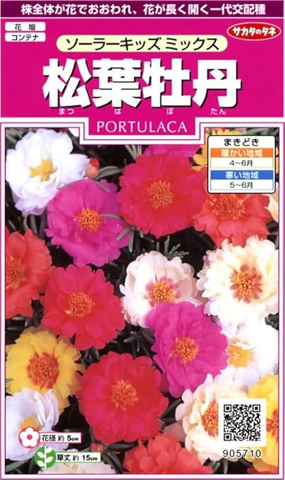 Amazon サカタのタネ 実咲花5710 松葉牡丹 ソーラーキッズミックス 花